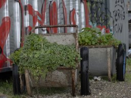 Holzpark Basel 28.03.2026