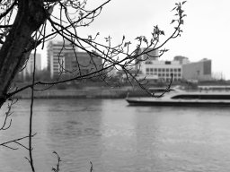 Holzpark Basel 28.03.2026