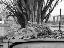 Holzpark Basel 28.03.2026