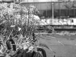 Holzpark Basel 28.03.2026
