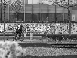 Holzpark Basel 28.03.2026