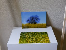 2025 &raquo; Kunst im Reihenhaus, 13.06.2025