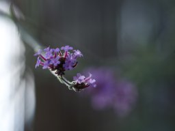 photoallschwil_andreaslutz_2