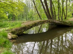 photoallschwil_annikabergermueller_02