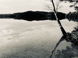 photoallschwil_noemiahr_3